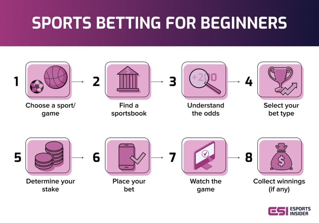 2026 토토사이트 추천 TOP5 랭킹 - 비트코인 가상화폐 가능한 정보 2026 메이저 토토사이트 추천 순위 공유 커뮤니티